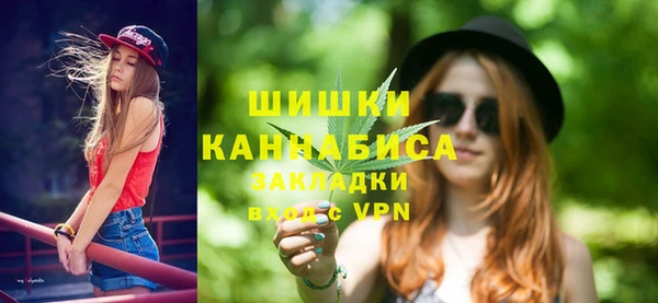 СК Медвежьегорск