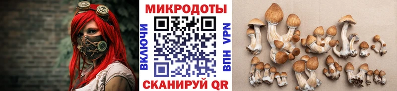 ссылка на мегу рабочий сайт  Бабаево  Псилоцибиновые грибы Psilocybe 